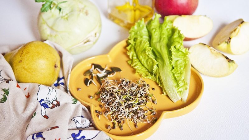数据快报的固定发布节奏