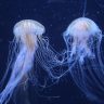 读者「夜航船」的虚拟头像，深蓝色调几何图形